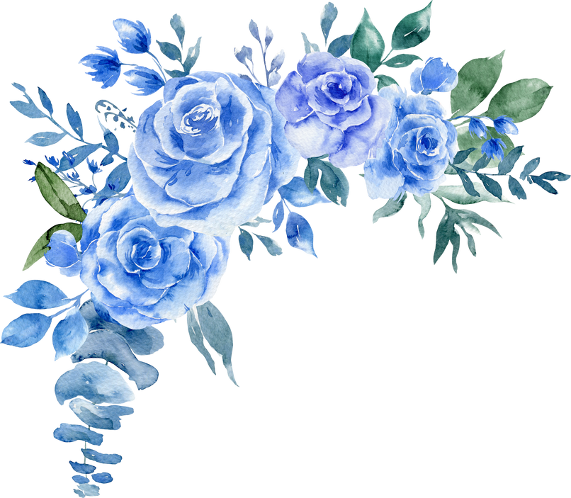 Watercolor Rose flower Bouquet. Blue Roses illustration.